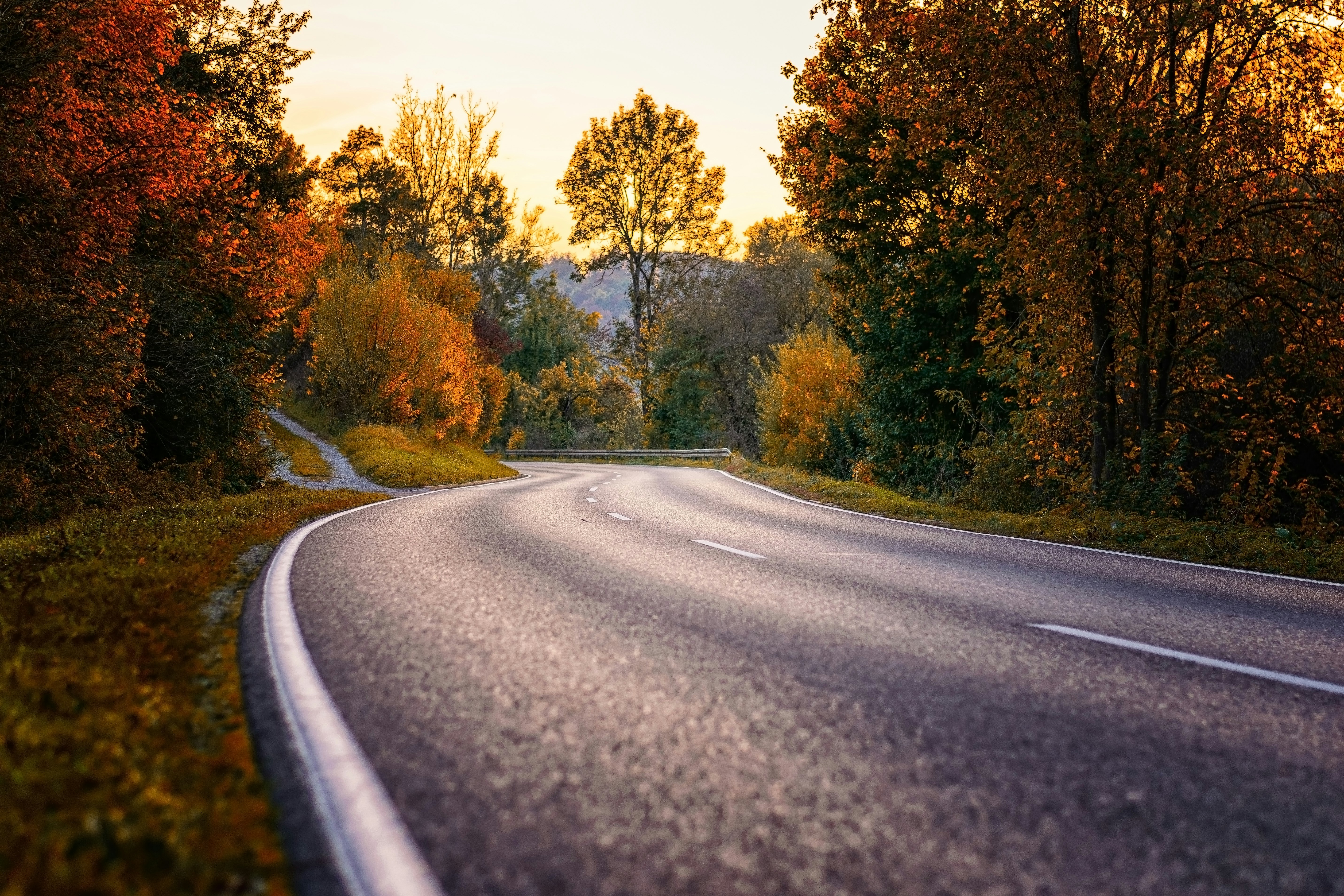 gray concrete road between green trees during daytime